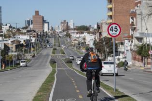 Avenida Luis Alberto de Herrera