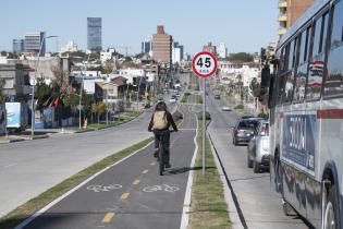 Avenida Luis Alberto de Herrera