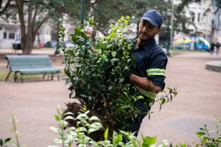 Recuperación de áreas verdes en la plaza Zabala