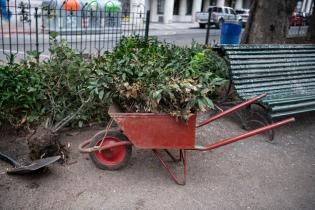 Recuperación de áreas verdes en la plaza Zabala