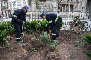 Recuperación de áreas verdes en la plaza Zabala Recuperación de áreas verdes en la plaza Zabala