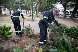 Recuperación de áreas verdes en la plaza Zabala