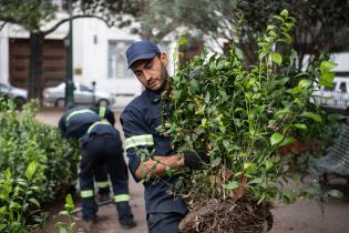 Recuperación de áreas verdes en la plaza Zabala