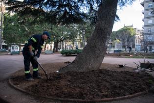 Recuperación de áreas verdes en la plaza Zabala Recuperación de áreas verdes en la plaza Zabala