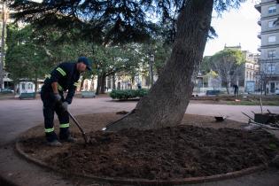 Recuperación de áreas verdes en la plaza Zabala