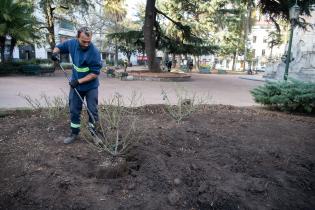 Recuperación de áreas verdes en la plaza Zabala