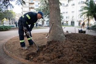 Recuperación de áreas verdes en la plaza Zabala Recuperación de áreas verdes en la plaza Zabala