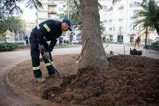 Recuperación de áreas verdes en la plaza Zabala