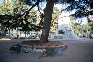 Recuperación de áreas verdes en la plaza Zabala Recuperación de áreas verdes en la plaza Zabala