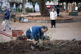 Recuperación de áreas verdes en la plaza Zabala Recuperación de áreas verdes en la plaza Zabala