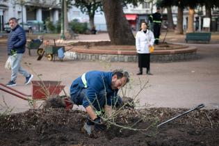 Recuperación de áreas verdes en la plaza Zabala