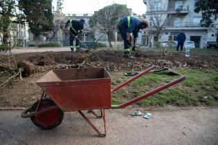Recuperación de áreas verdes en la plaza Zabala Recuperación de áreas verdes en la plaza Zabala
