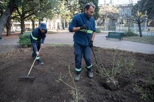Recuperación de áreas verdes en la plaza Zabala Recuperación de áreas verdes en la plaza Zabala
