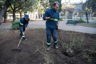 Recuperación de áreas verdes en la plaza Zabala