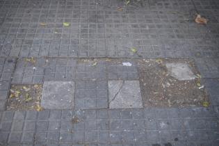 Plan ABC Veredas en la calle Jackson entre Constituyente y Charrúa Plan ABC Veredas en la calle Jackson entre Constituyente y Charrúa