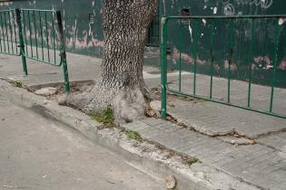 Montevideo avanza camino a clase: recorrida por la escuela: Nro. 29 Checoslovaquia