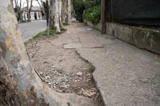 Montevideo avanza camino a clase: recorrida por la escuela: Nro. 35 República de Guatemala