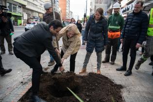 Plantación de árboles en Av.18 de Julio en el marco del proyecto de arbolado en Montevideo