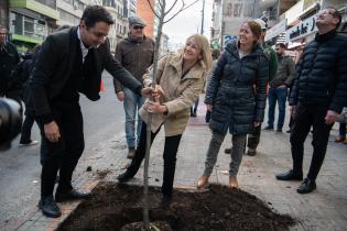 Plantación de árboles en Av.18 de Julio en el marco del proyecto de arbolado en Montevideo Plantación de árboles en Av.18 de Julio en el marco del proyecto de arbolado en Montevideo