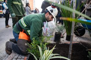 Plantación de árboles en Av.18 de Julio en el marco del proyecto de arbolado en Montevideo Plantación de árboles en Av.18 de Julio en el marco del proyecto de arbolado en Montevideo