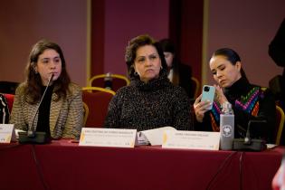 Jornadas internacionales por ciudades más verdes, sostenibles, igualitarias e innovadoras Jornadas internacionales por ciudades más verdes, sostenibles, igualitarias e innovadoras