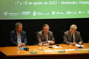 Apertura del IX Encuentro Regional de Cruceros y Turismo Náutico Fluvial Apertura del IX Encuentro Regional de Cruceros y Turismo Náutico Fluvial