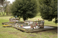 Cenisario del cementerio Parque del Nort