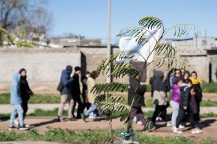 Cierre de la plantación de árboles en el barrio Bajo Valencia Cierre de la plantación de árboles en el barrio Bajo Valencia