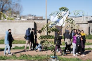  Cierre de la plantación de árboles en el barrio Bajo Valencia