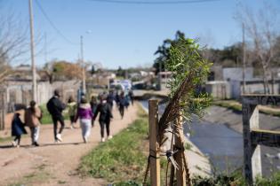 Cierre de la plantación de árboles en el barrio Bajo Valencia Cierre de la plantación de árboles en el barrio Bajo Valencia
