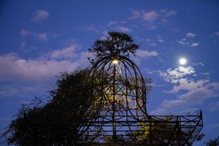 Montevideo se ilumina en el barrio Prado Montevideo se ilumina en el barrio Prado