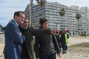  Plantación de dunas en la playa Pocitos