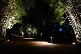 Montevideo avanza en iluminación: luminarias en el Jardín Botánico