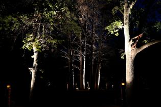 Montevideo avanza en iluminación: luminarias en el Jardín Botánico Montevideo avanza en iluminación: luminarias en el Jardín Botánico