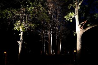 Montevideo avanza en iluminación: luminarias en el Jardín Botánico