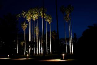 Montevideo avanza en iluminación: luminarias en el Jardín Botánico