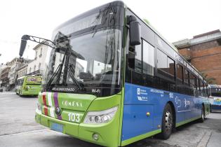 Ómnibus de transporte publico en Montevideo