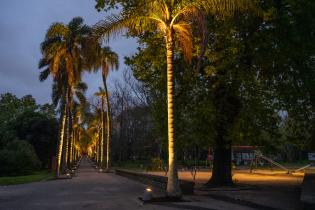 Iluminación en el Jardín Botánico