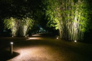 Iluminación en el Jardín Botánico