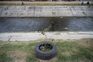 Plantación de flores del programa Mujeres que Reverdecen en el barrio Bajo Valencia Plantación de flores del programa Mujeres que Reverdecen en el barrio Bajo Valencia