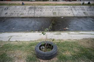 Plantación de flores del programa Mujeres que Reverdecen en el barrio Bajo Valencia