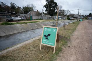 Plantación de flores del programa Mujeres que Reverdecen en el barrio Bajo Valencia