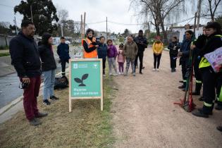 Plantación de flores del programa Mujeres que Reverdecen en el barrio Bajo Valencia