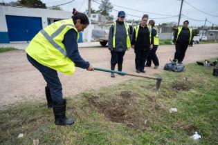 Plantación de flores del programa Mujeres que Reverdecen en el barrio Bajo Valencia