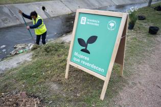 Plantación de flores del programa Mujeres que Reverdecen en el barrio Bajo Valencia Plantación de flores del programa Mujeres que Reverdecen en el barrio Bajo Valencia