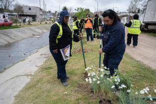 Plantación de flores del programa Mujeres que Reverdecen en el barrio Bajo Valencia