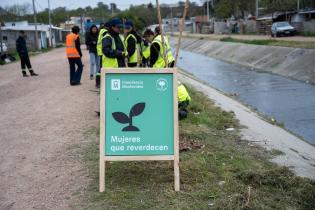 Plantación de flores del programa Mujeres que Reverdecen en el barrio Bajo Valencia