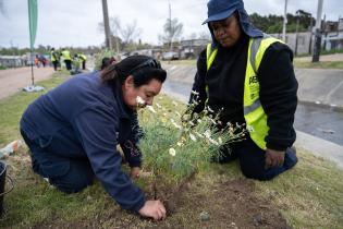 Plantación de flores del programa Mujeres que Reverdecen en el barrio Bajo Valencia