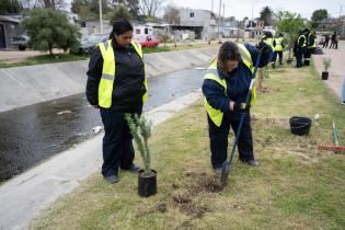 Plantación de flores del programa Mujeres que Reverdecen en el barrio Bajo Valencia