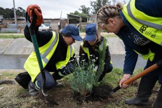 Plantación de flores del programa Mujeres que Reverdecen en el barrio Bajo Valencia